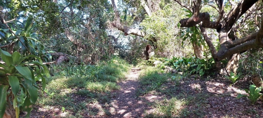 3 Bedroom Property for Sale in Haga Haga Eastern Cape